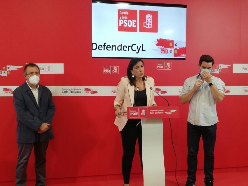 El PSOE de Zamora destaca la medida del MITECO, una inversión estatal de 316 millones en renovables