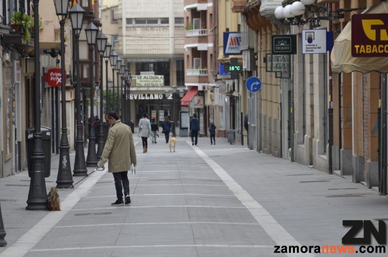 Coronavirus en Zamora I Se mantienen los ocho brotes activos con 32 casos vinculados