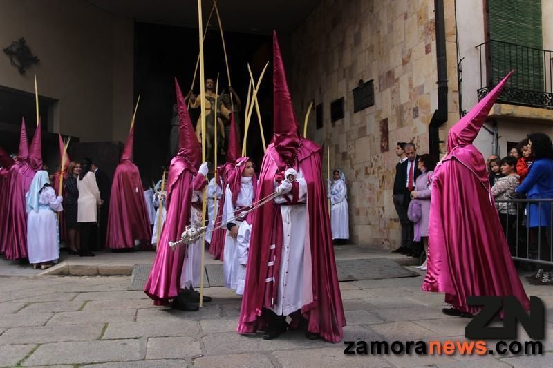 Domingo de Ramos "La Borriquita" se hace con las calles de Zamora. VÍDEO