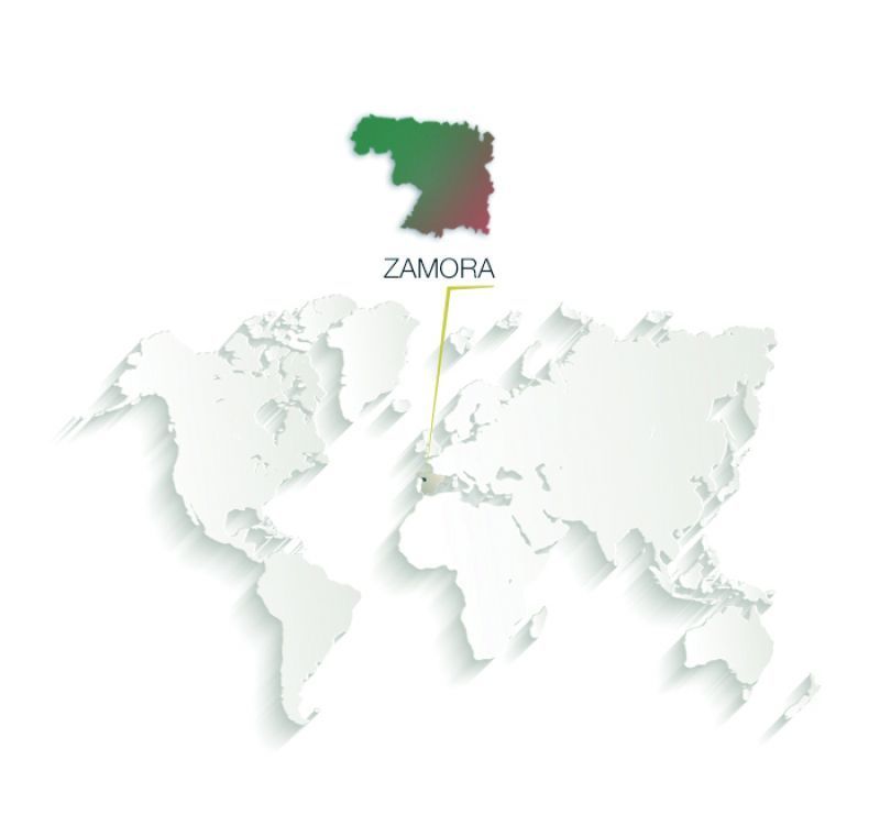 Zamora10 presenta el Concurso Internacional de Ideas para la Marca Zamora