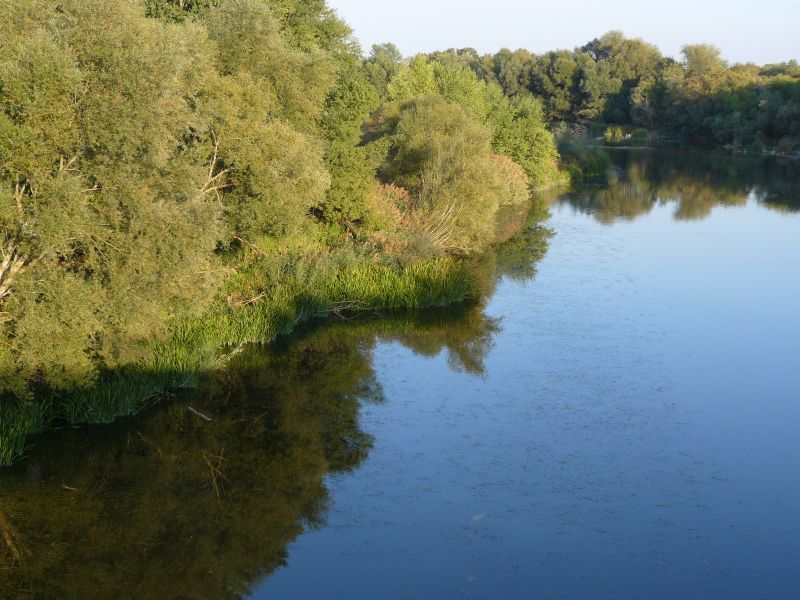 Imagen del Río Duero | Foto Ecologistas en Acción