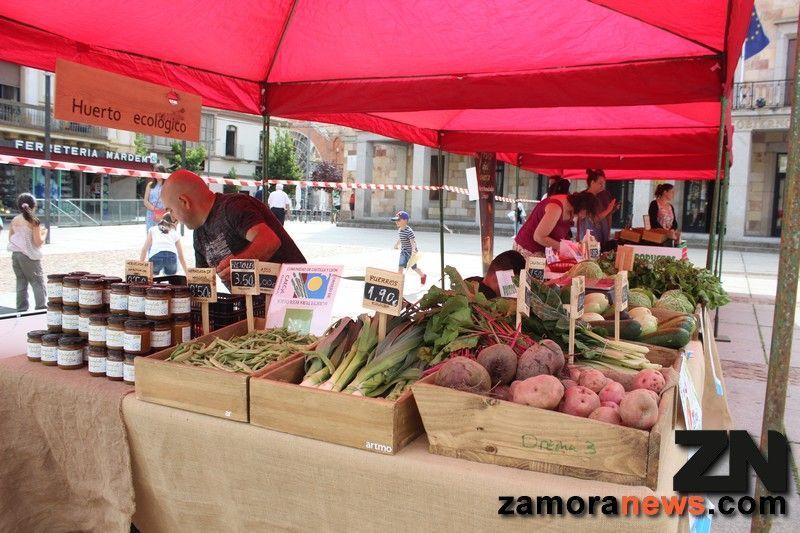 El sábado nueva edición del Mercado Ecológico en la Plaza de la Constitución