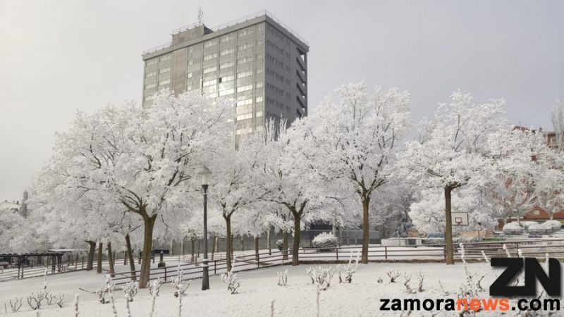 No hay quinto malo y sin cencellada en Zamora, aunque parece ser que será el último de Zamordor o Zamorarnia