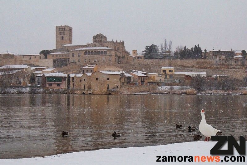 La antesala del Blue Monday está marcada por el mal tiempo el frío así como con posibles nevadas hasta en Zamora capital para este fin de semana