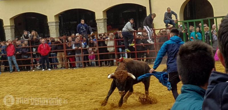 Un herido por asta de toro en Villalpando