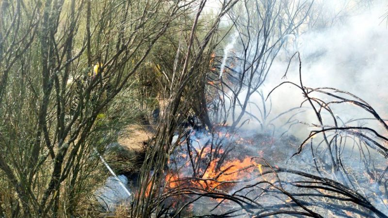 Villafáfila se suma a este domingo negro de incendios con un nuevo foco