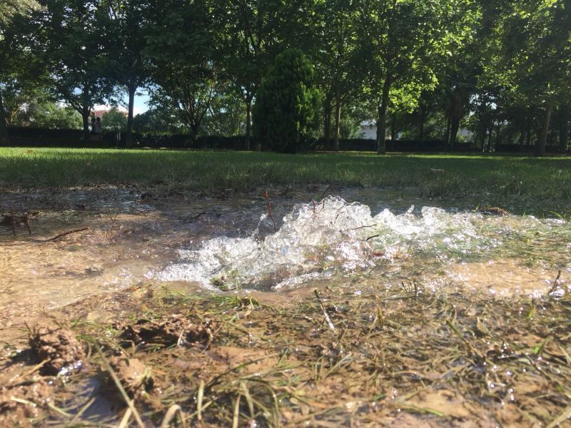 Una fuga de agua inunda un jardín del barrio de Olivares