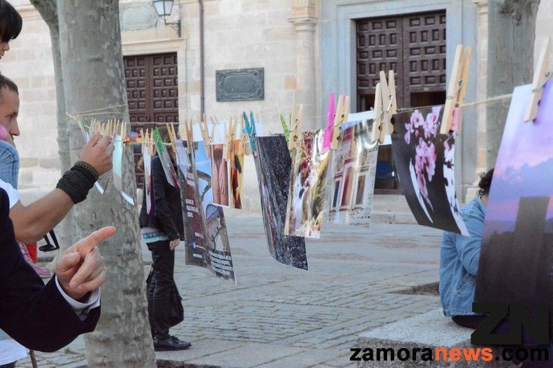 Se consolida el "Secado" en la Plaza de Viriato