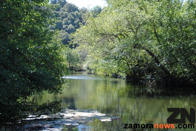 Un nuevo puente sobre el río Aliste en Domez de Alba