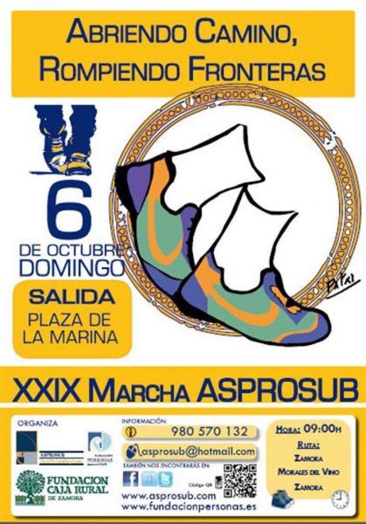 Cartel de la XXIX Marcha de Asprosub