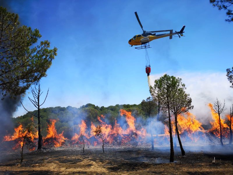 El incendio de Toro causado por una máquina forestal se encuentra en fase de perimetración, todavía activo