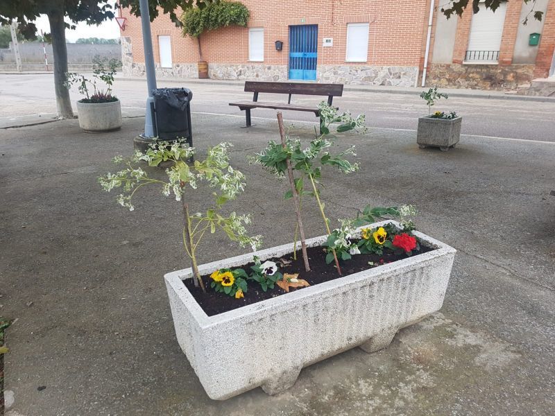 Clausura del curso de jardinería y floristería de Benavente