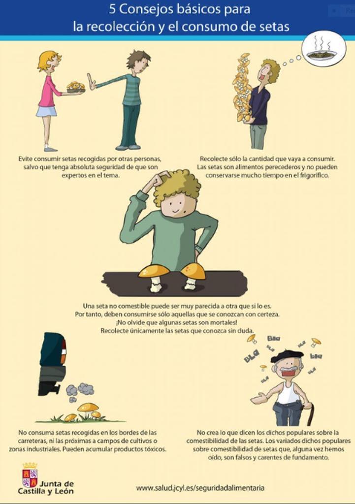Si aprovechas el domingo para salir a buscar setas, mira antes las recomendaciones