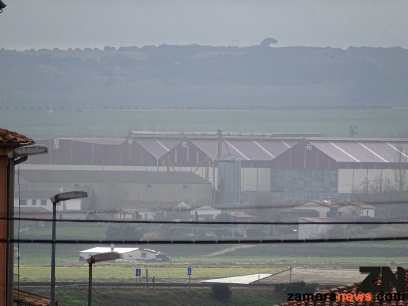 Foto Zamora News