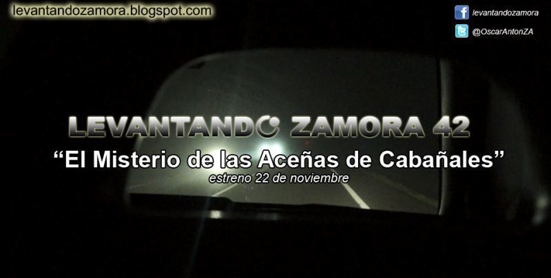 Capítulo 42 de Levantando Zamora