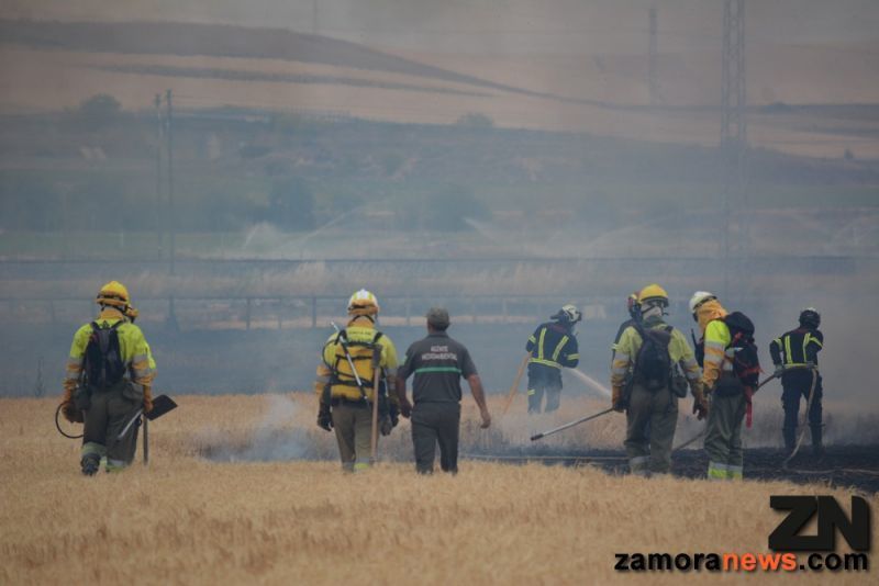 Extinguidos los incendios de San Román, Fuentesaúco y Congosta
