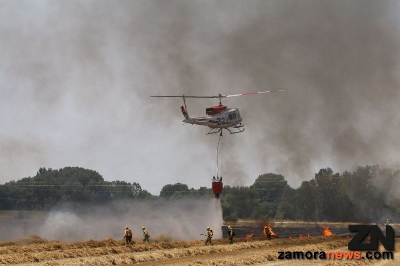 Extinguidos los dos incendios en la provincia de Zamora