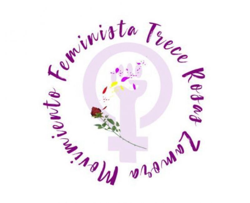 Trece Rosas responde antes la puesta en libertad del hombre denunciado por la violación a una zamorana