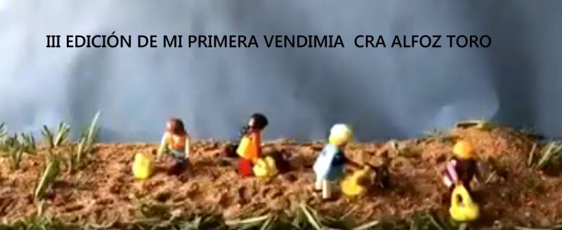 Escolares del CRA 'Alfoz' de Toro, reciben el segundo premio en la III edición del concurso regional "Mi primera Vendimia"
